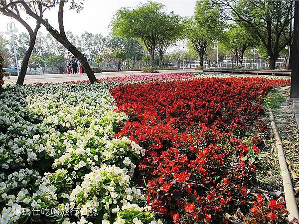 彰化_溪州_溪州公園_費茲洛公園_12 彰化_溪州_溪州公園_費茲洛公園_12