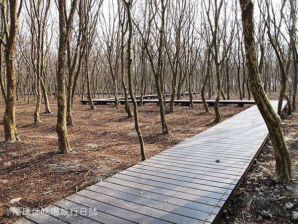 彰化_溪州_溪州公園_費茲洛公園_24 彰化_溪州_溪州公園_費茲洛公園_24