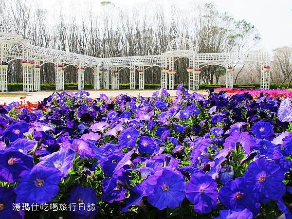 彰化_溪州_溪州公園_費茲洛公園_26 彰化_溪州_溪州公園_費茲洛公園_26
