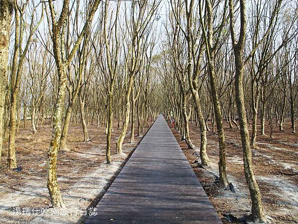 彰化_溪州_溪州公園_費茲洛公園_23 彰化_溪州_溪州公園_費茲洛公園_23