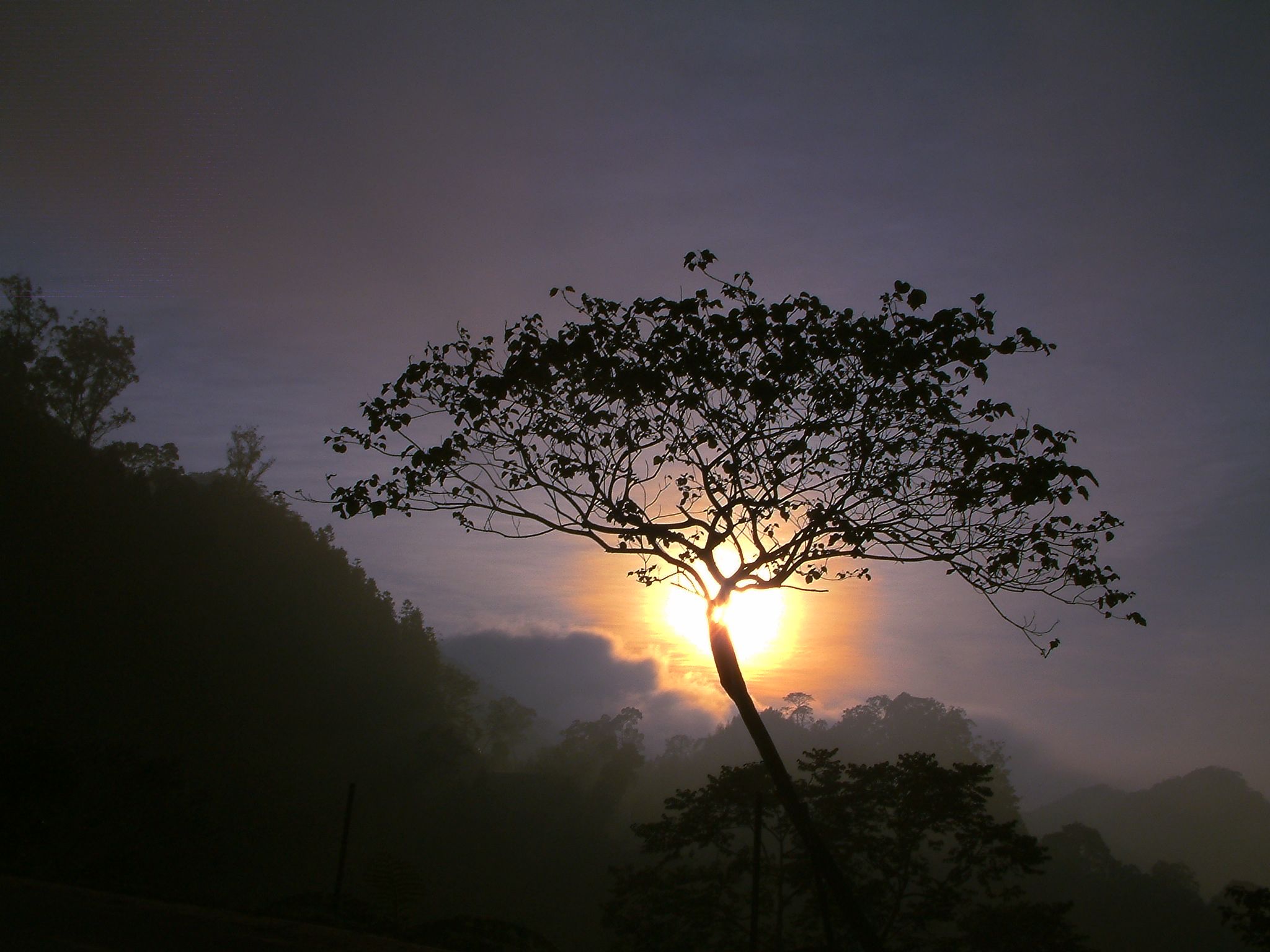 DSCF01891.jpg DSCF01891.jpg