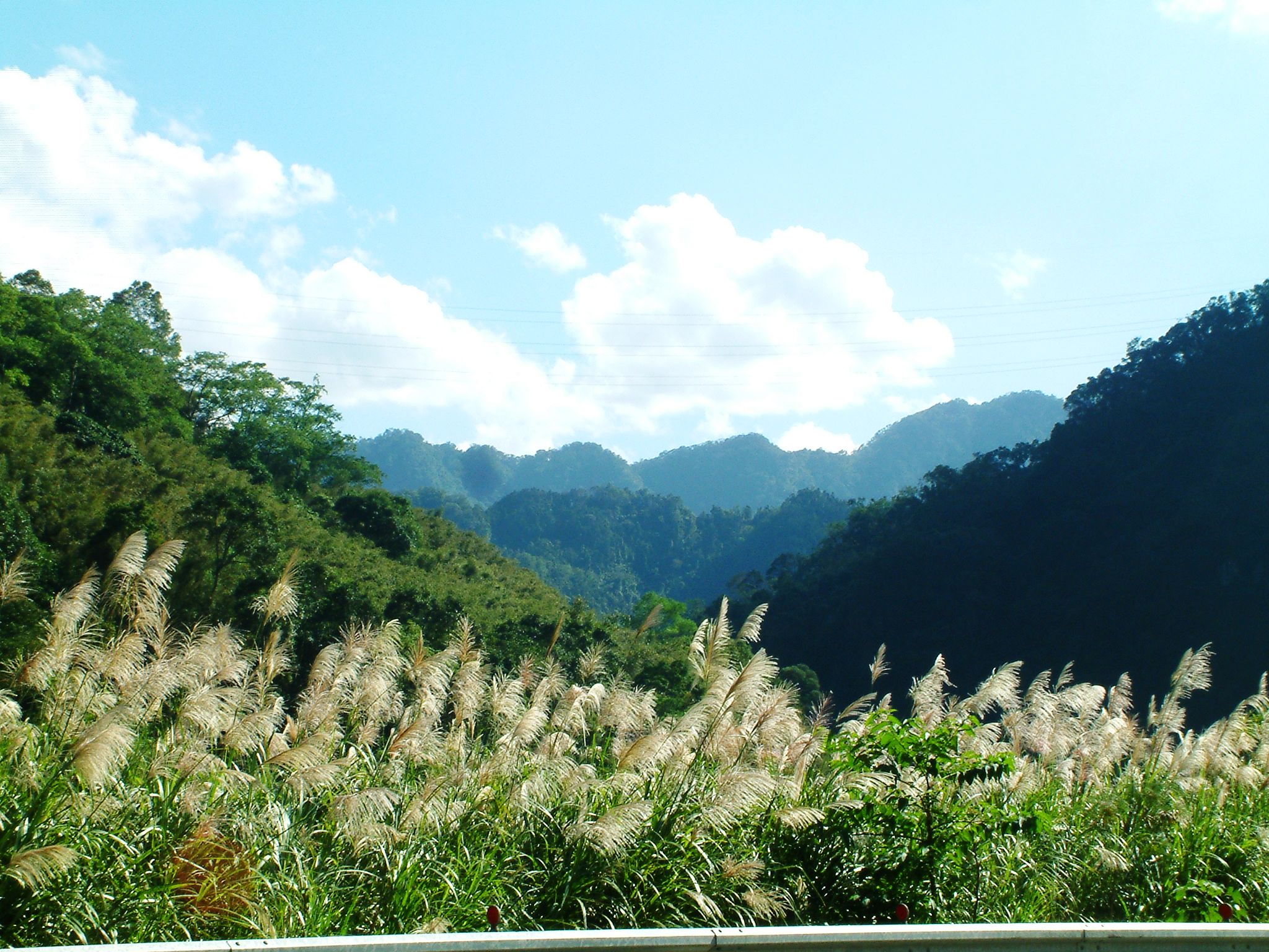 DSCF0004.JPG DSCF0004.JPG