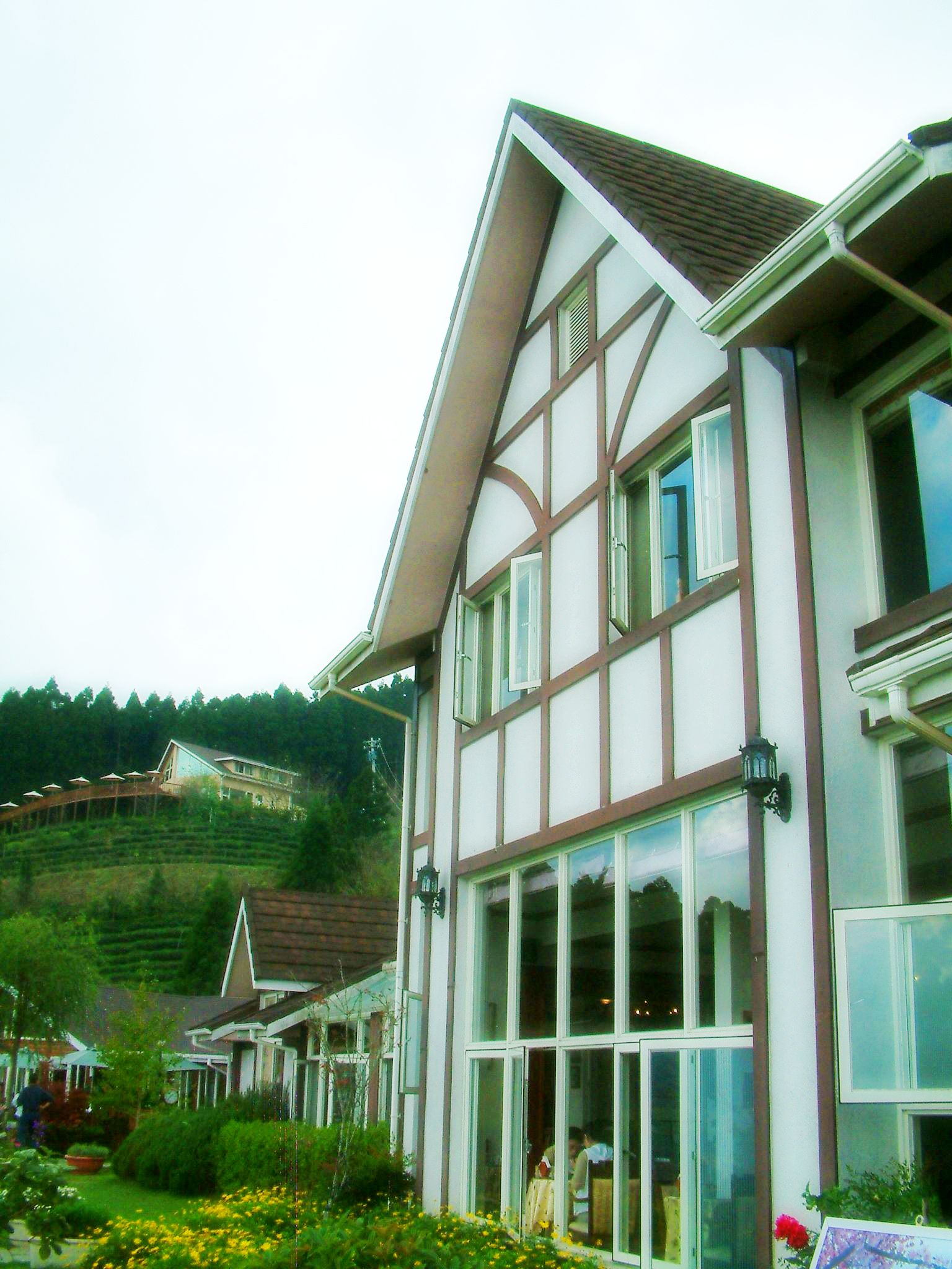 DSCF0049.JPG DSCF0049.JPG