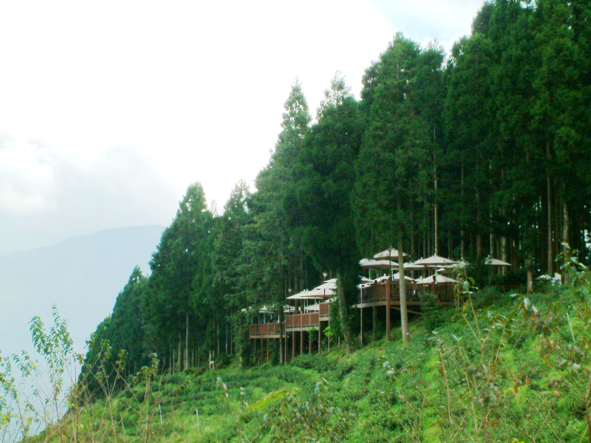 DSCF0084.JPG DSCF0084.JPG