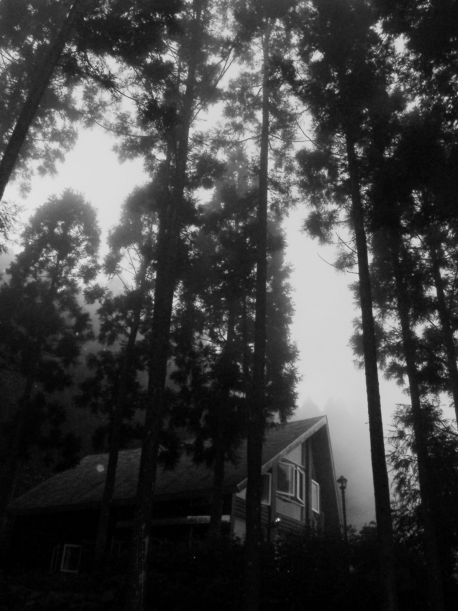 DSCF0153.JPG DSCF0153.JPG