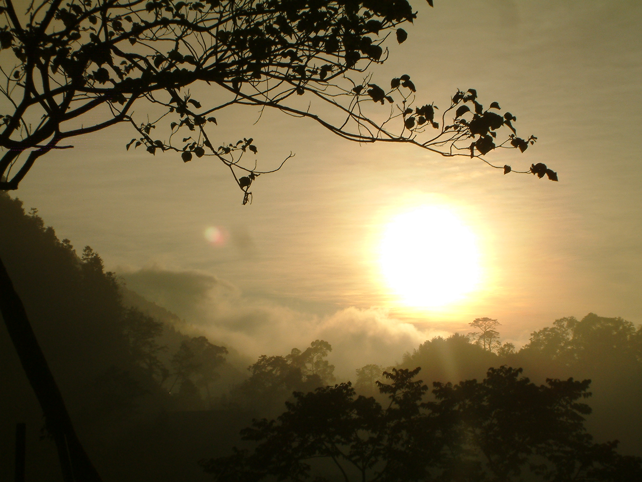 DSCF0194.JPG DSCF0194.JPG