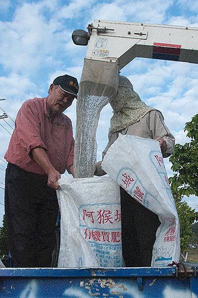 黑豆收成4 黑豆收成4