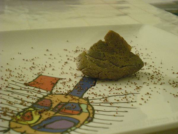 DSCN8526 (3) DSCN8526 (3)