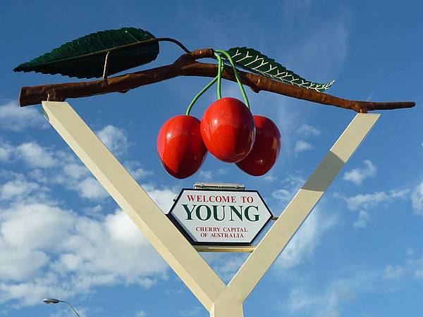 P1100093.JPG P1100093.JPG