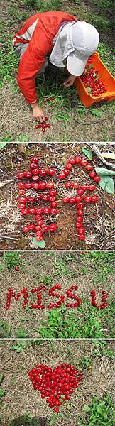 Cherry排字.jpg Cherry排字.jpg