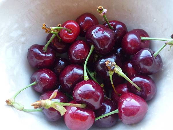 P1100686.JPG P1100686.JPG