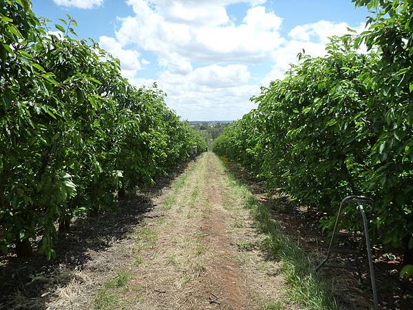 P1100742.JPG P1100742.JPG