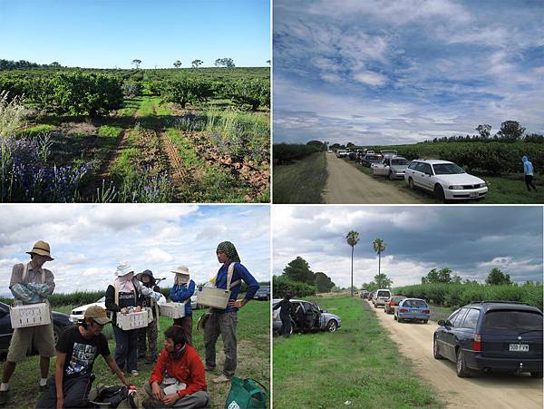 上工下工.jpg 上工下工.jpg