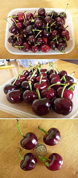 吃大櫻桃.jpg 吃大櫻桃.jpg
