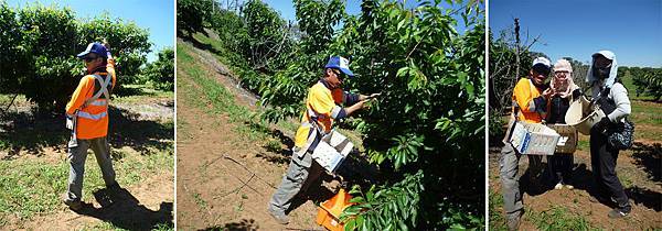 戰鬥裝.jpg 戰鬥裝.jpg