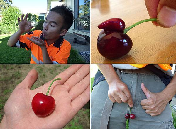 櫻桃怪樣.jpg 櫻桃怪樣.jpg