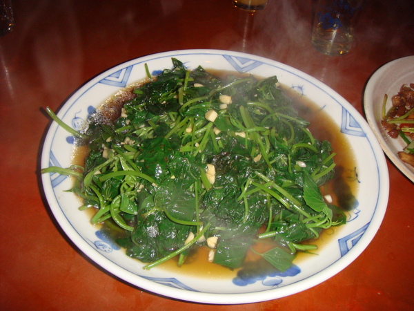 蕃薯葉.JPG 蕃薯葉.JPG