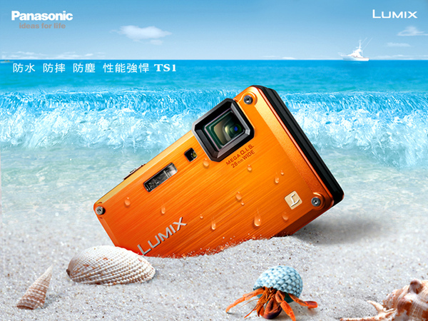 DMC-TS1