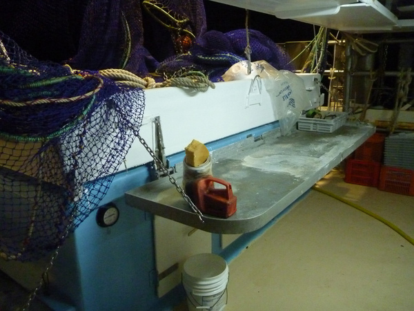 P1060561.JPG P1060561.JPG