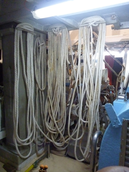 P1060562.JPG P1060562.JPG