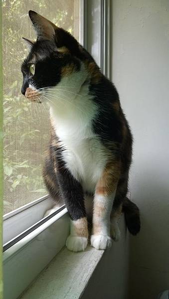 WP_20140810_12_15_05_Pro