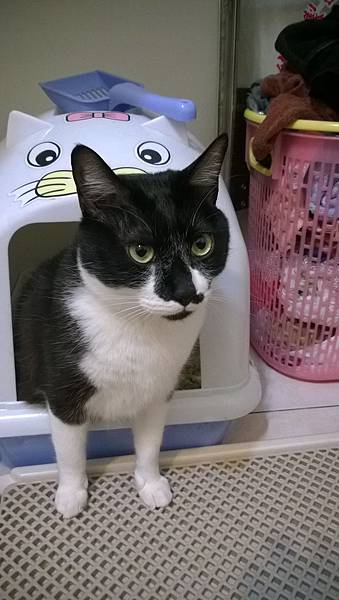 WP_20140310_18_46_07_Pro