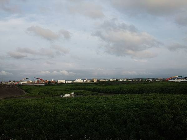 DSCF6525.JPG DSCF6525.JPG