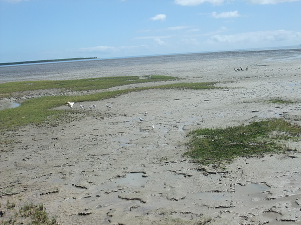 DSCF0273.JPG