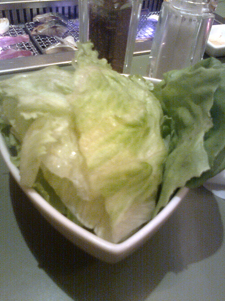 萵苣生菜.jpg