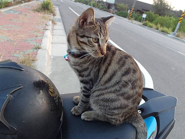 SAM_4033.JPG SAM_4033.JPG