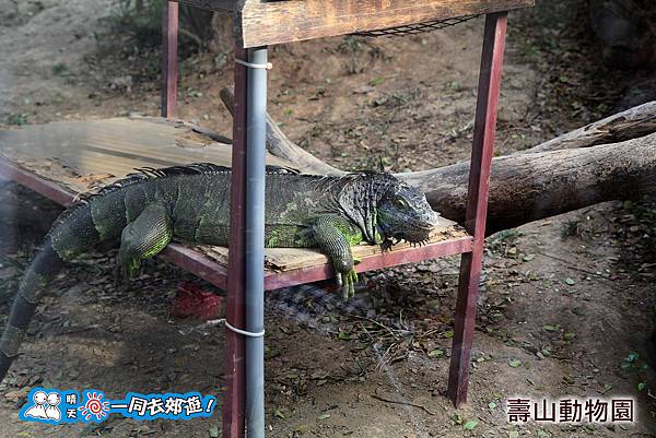 高雄壽山動物園20140102J-030.jpg