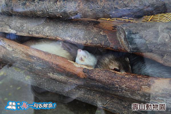 高雄壽山動物園20140102J-035.jpg 高雄壽山動物園20140102J-035.jpg