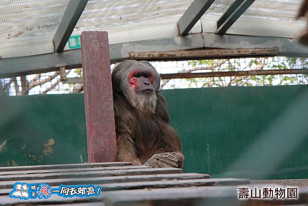 高雄壽山動物園20140102J-044.jpg