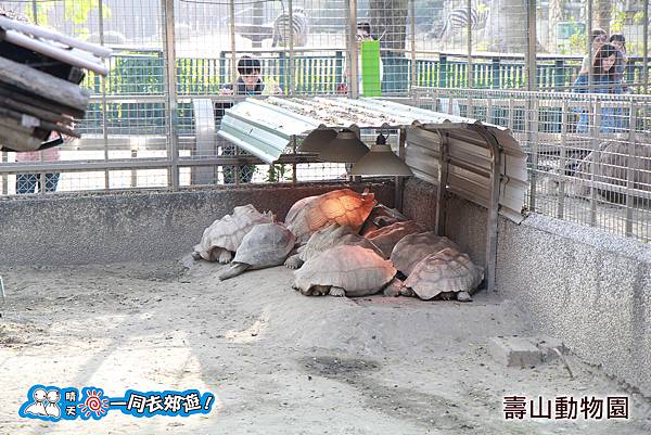 高雄壽山動物園20140102J-048.jpg