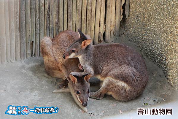 高雄壽山動物園20140102J-050.jpg