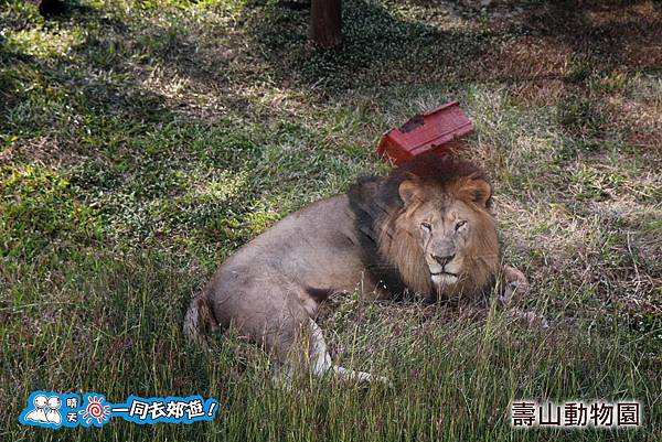 高雄壽山動物園20140102J-053.jpg 高雄壽山動物園20140102J-053.jpg