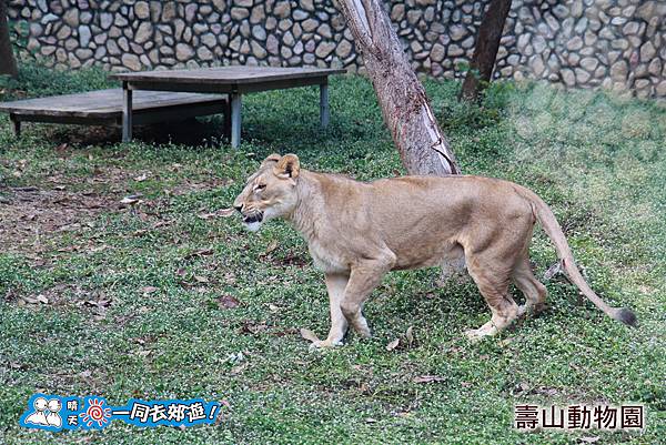 高雄壽山動物園20140102J-062.jpg