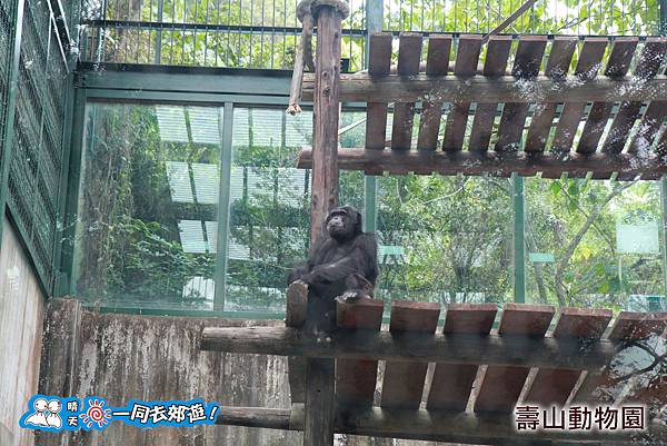 高雄壽山動物園20140102J-091.jpg 高雄壽山動物園20140102J-091.jpg