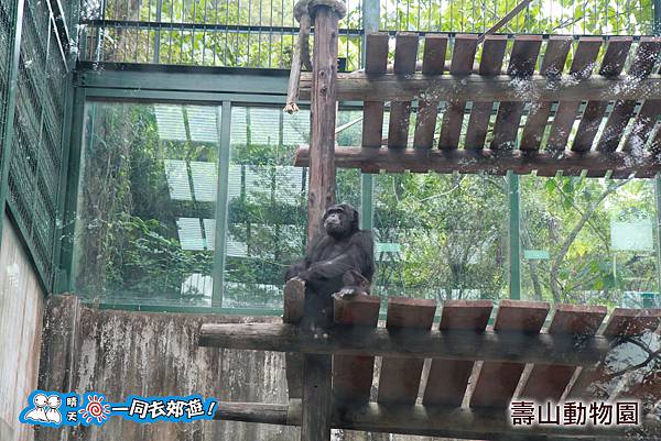 高雄壽山動物園20140102J-091.jpg