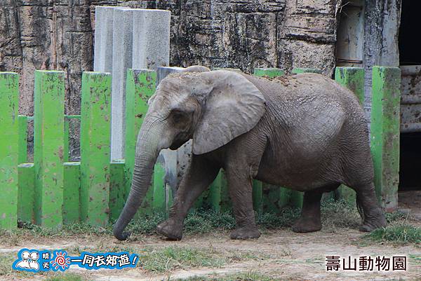 高雄壽山動物園20140102J-093.jpg