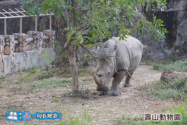 高雄壽山動物園20140102J-105.jpg