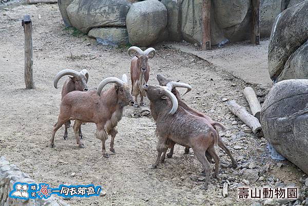 高雄壽山動物園20140102J-117.jpg