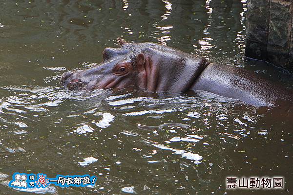 高雄壽山動物園20140102J-130.jpg