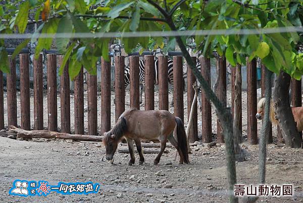 高雄壽山動物園20140102J-136.jpg