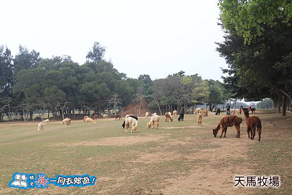 20140219-018.jpg 20140219-018.jpg