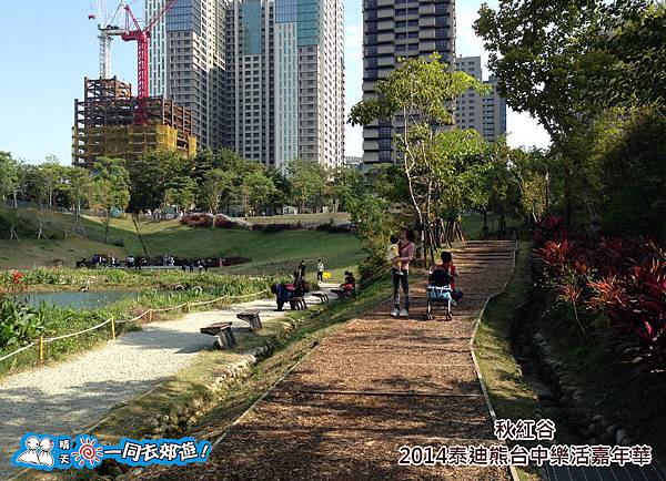 20141118B-081.jpg 20141118B-081.jpg