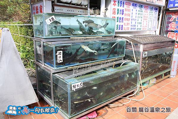 20141130-036.jpg 20141130-036.jpg