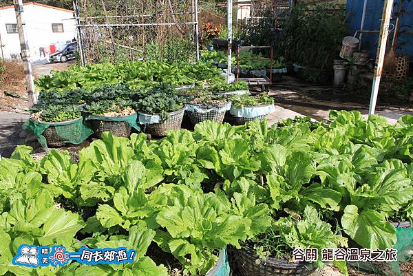 20141130-037.jpg 20141130-037.jpg