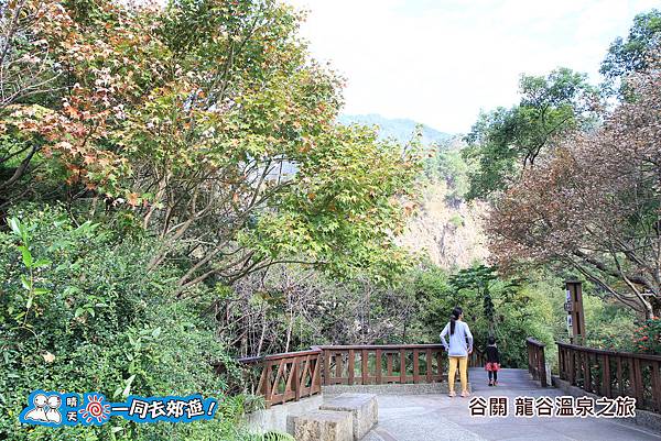 20141130-047.jpg 20141130-047.jpg
