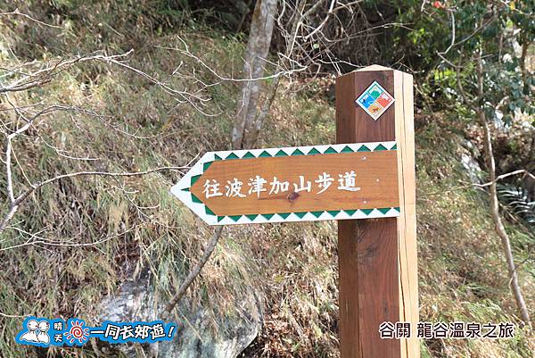 20141130-065.jpg 20141130-065.jpg